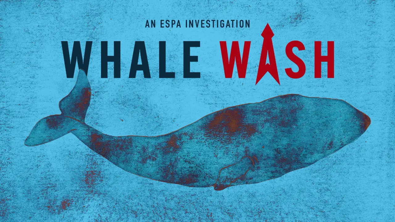 Whale Wash