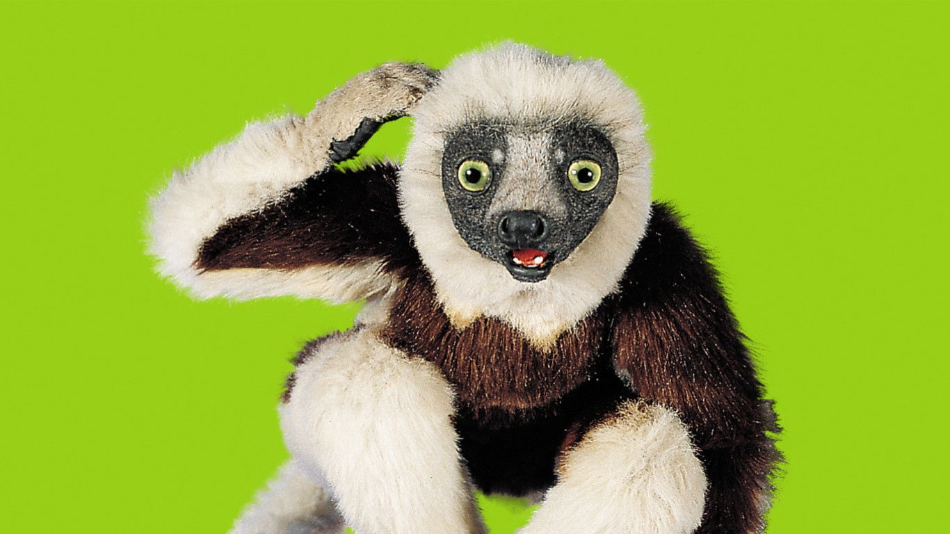 Zoboomafoo