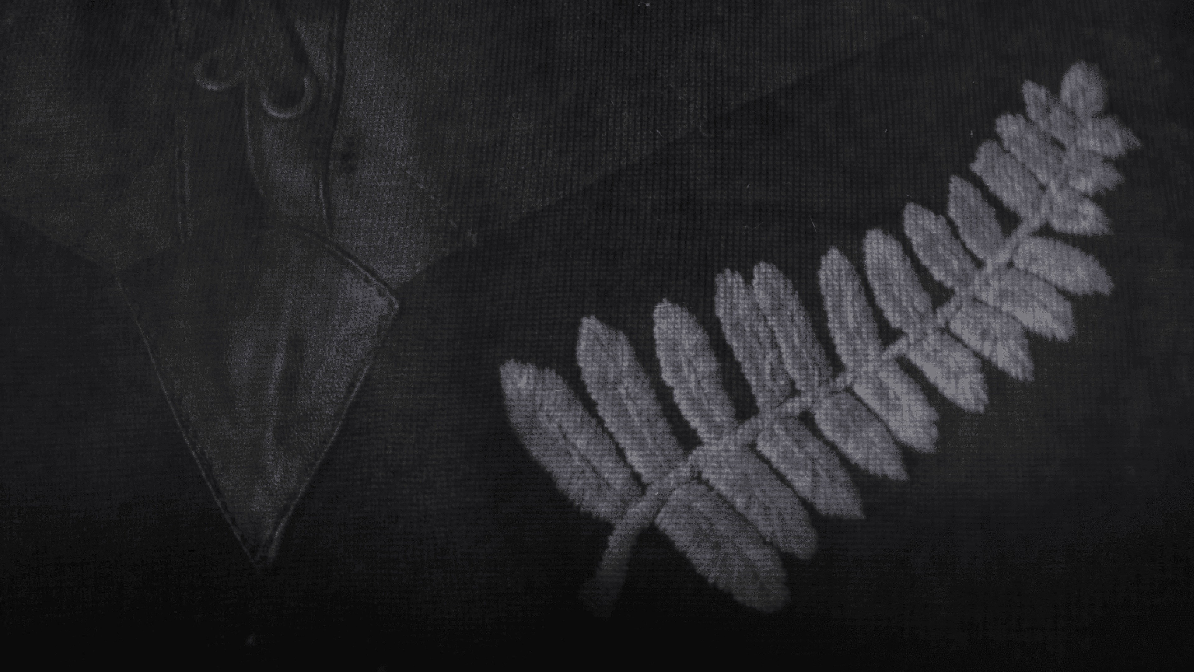 All Blacks at War