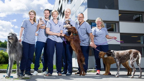Veterinærene