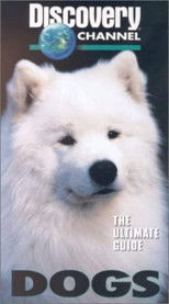 The Ultimate Guide - Dogs