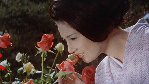 Flower & Snake