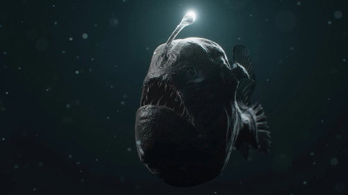 Monsters of the Deep: 20,000 Leagues Under the Sea