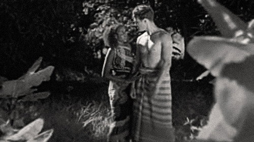 The White Slave