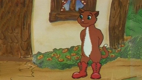 The Cat on Boots