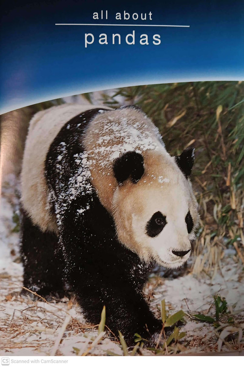 all about pandas