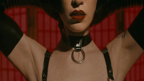 The Pleasure in Pain