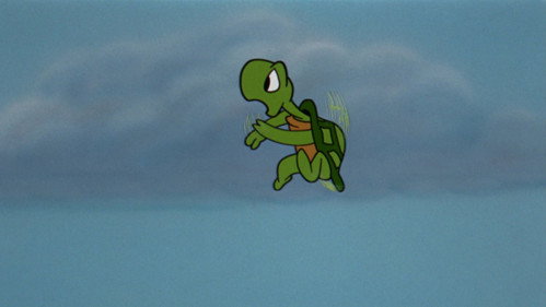 The Flying Turtle