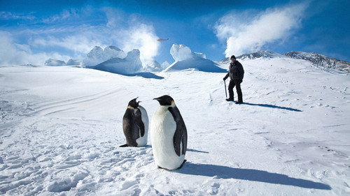 Antarctica: A Year on Ice