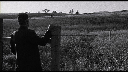 Faith of Our Fathers, a film by Hamilton Sterling