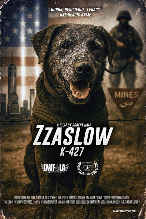 Zzaslow K-427