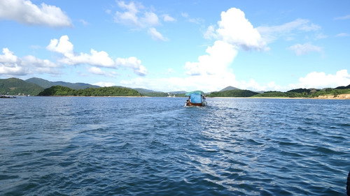 The Sea Within