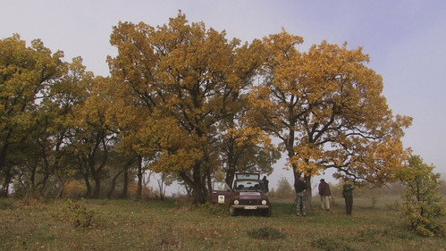 Přežili rok 2000