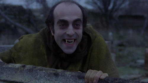 The Night of the Walking Dead