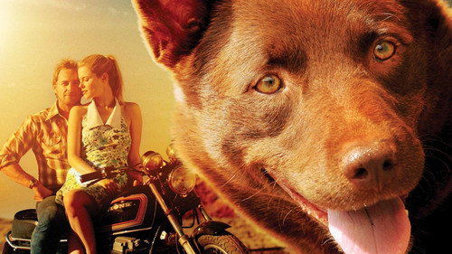 Red Dog