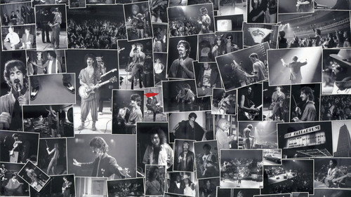 An Evening with Frank Zappa During Which... The Torture Never Stops