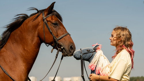 Horse on a Stick
