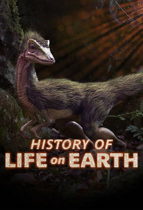 History of Life on Earth