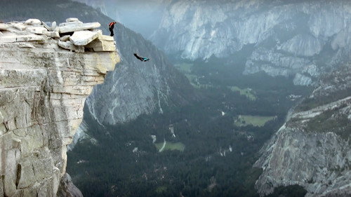 Fly Or Die
