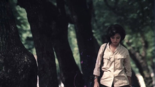 The Girl on the River