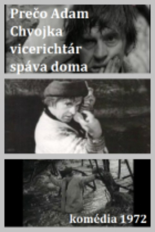 Adam Chvojka vicerichtár