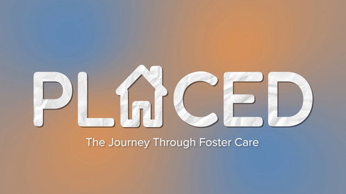 Placed - The Journey Through Foster Care